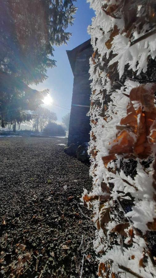 Les 12 Bois Du Cerf Villa Tailles Exteriör bild